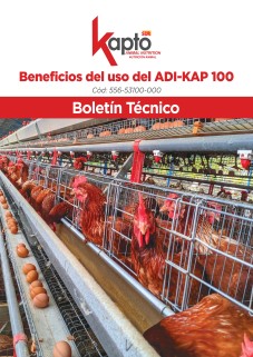Portada boletín Estrés calórico
