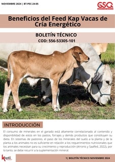 Portada boletín Beneficios del Feed Kap Vacas de Cría Energético