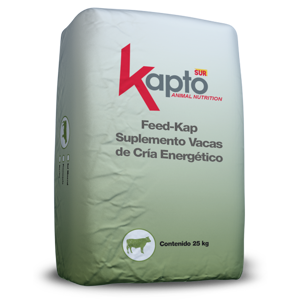 FEED-KAP SUPLEMENTO VACAS DE CRÍA ENERGÉTICO 