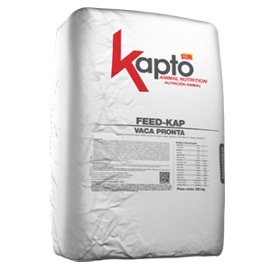 FEED-KAP VACA PRONTA