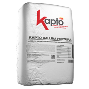KAPTO GALLINA POSTURA