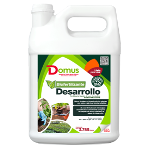 BIOFERTILIZANTE DESARROLLO