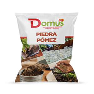 PIEDRA PÓMEZ