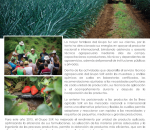 Agro 2