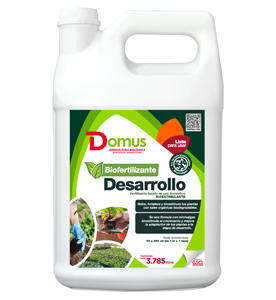 BIOFERTILIZANTE DESARROLLO