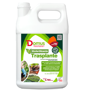 BIOFERTILIZANTE TRASPLANTE